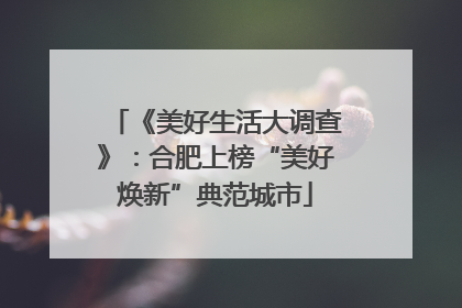 《美好生活大调查》：合肥上榜“美好焕新”典范城市