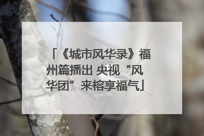《城市风华录》福州篇播出 央视“风华团”来榕享福气