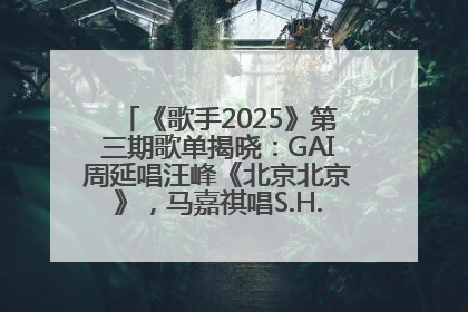 《歌手2025》第三期歌单揭晓：GAI周延唱汪峰《北京北京》，马嘉祺唱S.H.E《你曾是少年》