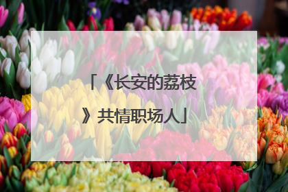 《长安的荔枝》共情职场人