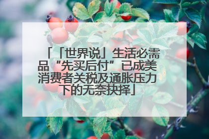 「世界说」生活必需品“先买后付”已成美消费者关税及通胀压力下的无奈抉择