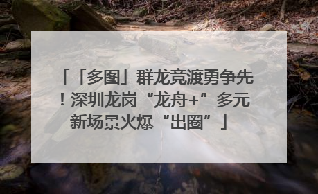 「多图」群龙竞渡勇争先！深圳龙岗“龙舟+”多元新场景火爆“出圈”