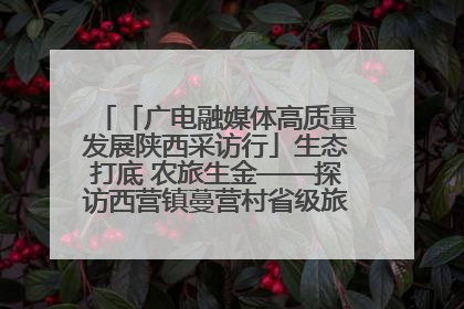 「广电融媒体高质量发展陕西采访行」生态打底 农旅生金——探访西营镇蔓营村省级旅游示范村的振兴密码