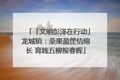 「文明彭泽在行动」龙城镇：桑果盈筐情绵长 育践五柳报春晖
