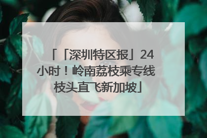 「深圳特区报」24小时！岭南荔枝乘专线 枝头直飞新加坡