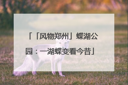 「风物郑州」蝶湖公园：一湖蝶变看今昔