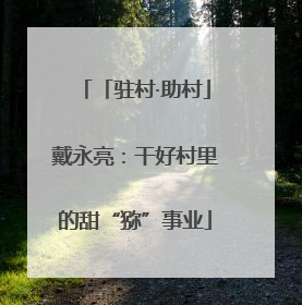 「驻村·助村」戴永亮：干好村里的甜“猕”事业