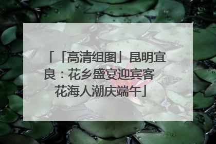 「高清组图」昆明宜良：花乡盛宴迎宾客 花海人潮庆端午