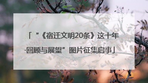 “《宿迁文明20条》这十年·回顾与展望”图片征集启事