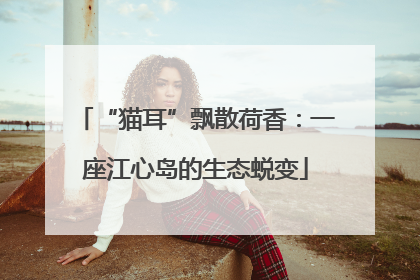“猫耳”飘散荷香：一座江心岛的生态蜕变