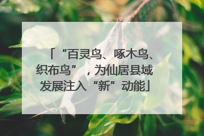 “百灵鸟、啄木鸟、织布鸟”，为仙居县域发展注入“新”动能