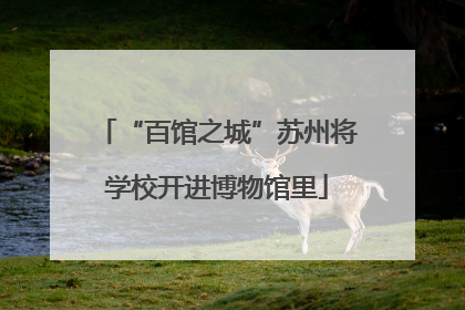 “百馆之城”苏州将学校开进博物馆里