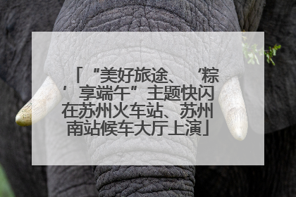 “美好旅途、‘粽’享端午”主题快闪在苏州火车站、苏州南站候车大厅上演
