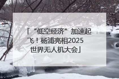 “低空经济”加速起飞！杨浦亮相2025世界无人机大会