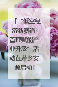 “低空经济新赛道·管理赋能产业升级”活动在萍乡安源启动
