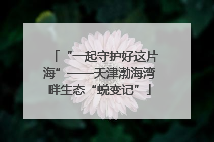“一起守护好这片海”——天津渤海湾畔生态“蜕变记”