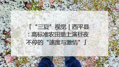 “三夏”视觉｜西平县：高标准农田里上演昼夜不停的“速度与激情”