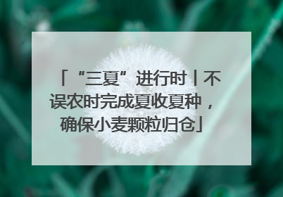 “三夏”进行时丨不误农时完成夏收夏种，确保小麦颗粒归仓