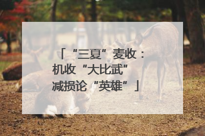 “三夏”麦收：机收“大比武” 减损论“英雄”