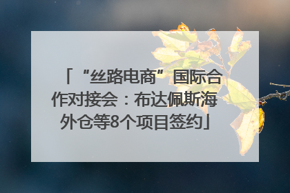 “丝路电商”国际合作对接会：布达佩斯海外仓等8个项目签约