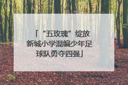 “五玫瑰”绽放 新城小学混编少年足球队勇夺四强