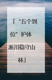 “五个到位”护体 淅川稳守山林