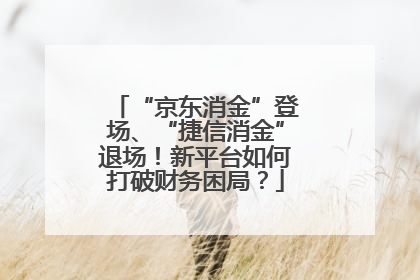 “京东消金”登场、“捷信消金”退场！新平台如何打破财务困局？