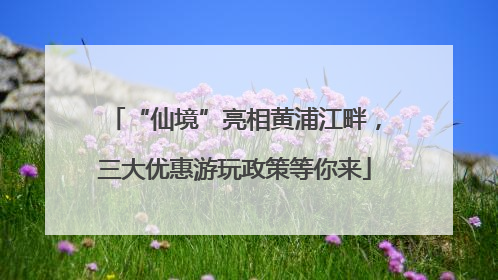 “仙境”亮相黄浦江畔，三大优惠游玩政策等你来