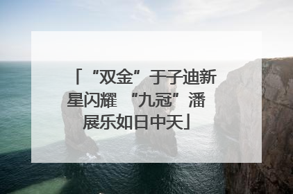 “双金”于子迪新星闪耀 “九冠”潘展乐如日中天