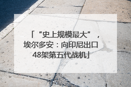 “史上规模最大”，埃尔多安：向印尼出口48架第五代战机