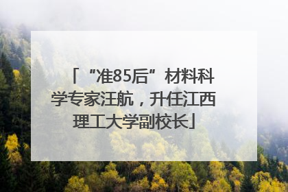 “准85后”材料科学专家汪航，升任江西理工大学副校长