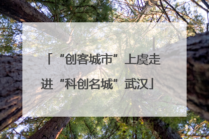 “创客城市”上虞走进“科创名城”武汉
