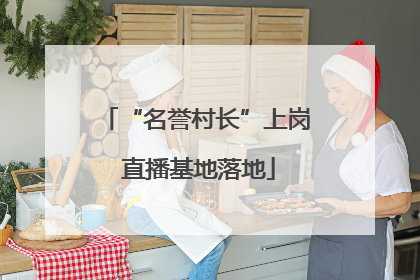 “名誉村长”上岗 直播基地落地