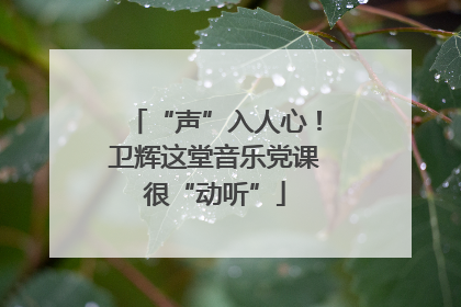 “声”入人心！卫辉这堂音乐党课很“动听”
