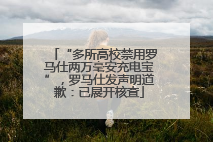 “多所高校禁用罗马仕两万毫安充电宝”，罗马仕发声明道歉：已展开核查