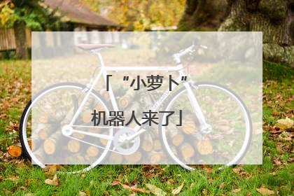 “小萝卜”机器人来了