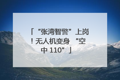“张湾智警”上岗！无人机变身 “空中 110”