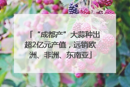 “成都产”大蒜种出超2亿元产值，远销欧洲、非洲、东南亚