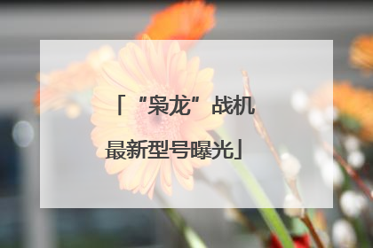 “枭龙”战机最新型号曝光