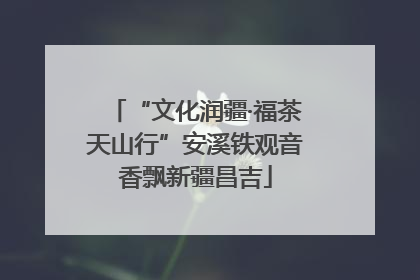 “文化润疆·福茶天山行”安溪铁观音香飘新疆昌吉