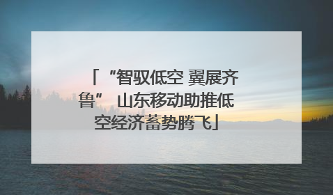 “智驭低空 翼展齐鲁” 山东移动助推低空经济蓄势腾飞