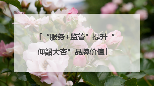“服务+监管”提升“仰韶大杏”品牌价值