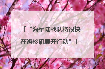 “海军陆战队将很快在洛杉矶展开行动”