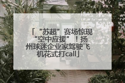 “苏超”赛场惊现 “空中应援”！扬州球迷企业家驾驶飞机花式打call