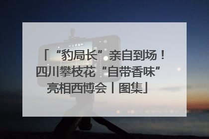 “豹局长”亲自到场！四川攀枝花“自带香味”亮相西博会丨图集