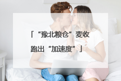 “豫北粮仓”麦收跑出“加速度”