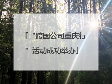 “跨国公司重庆行”活动成功举办