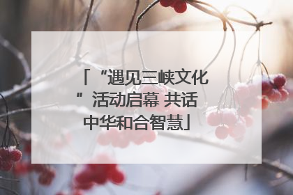 “遇见三峡文化”活动启幕 共话中华和合智慧