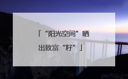 “阳光空间”晒出致富“籽”