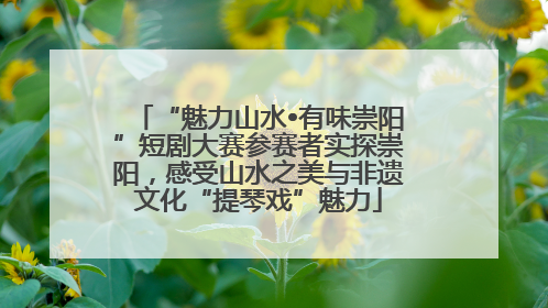 “魅力山水•有味崇阳”短剧大赛参赛者实探崇阳，感受山水之美与非遗文化“提琴戏”魅力